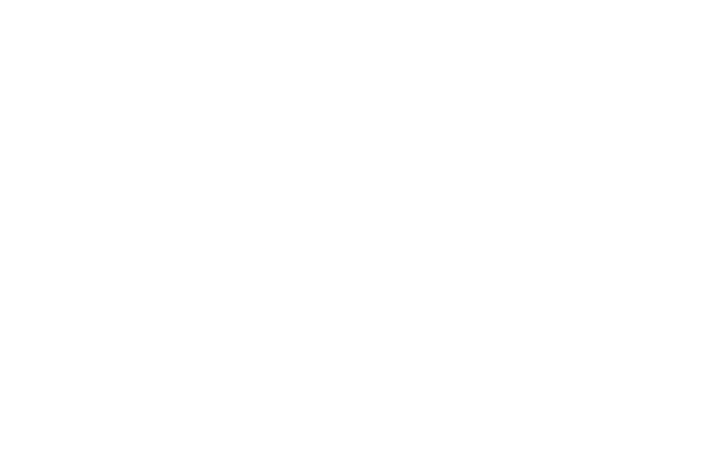 Make-A-Wish of the Mid-Atlantic logo