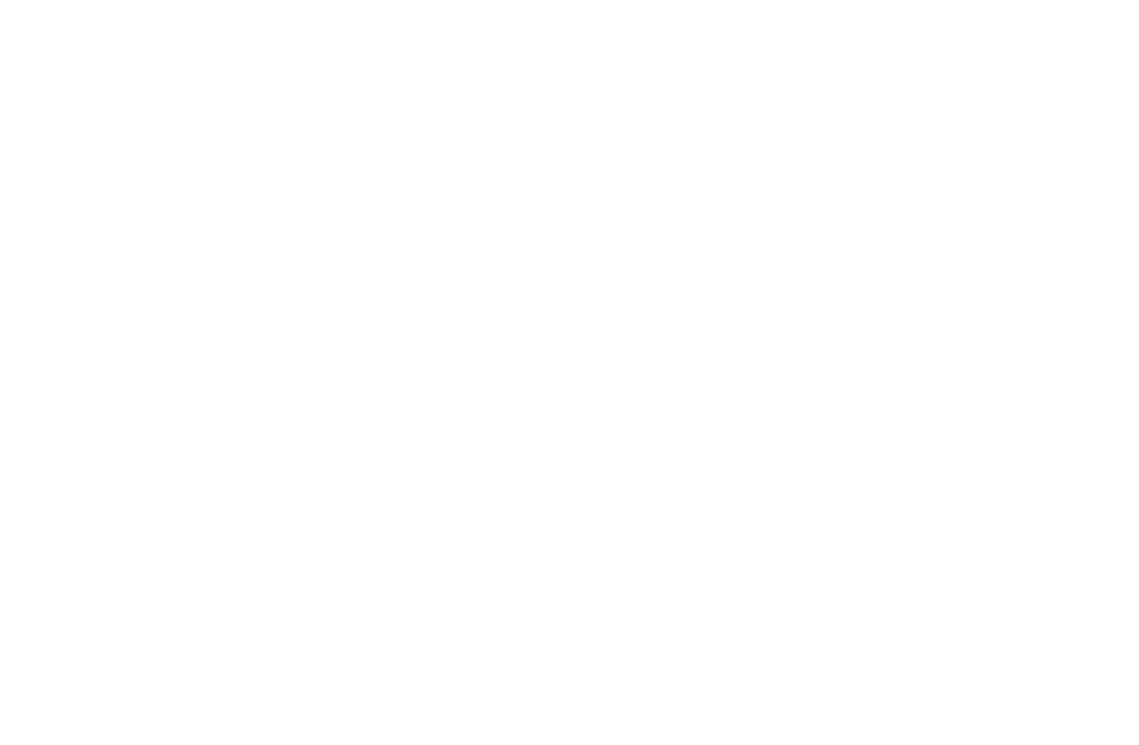 Virtual Enterprises International logo