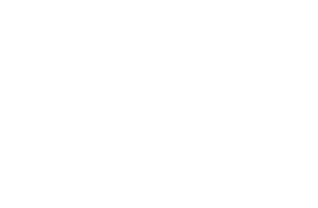 Miami Bridge Youth and Family Services logo