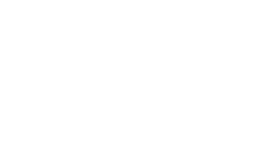 American International Health Alliance logo