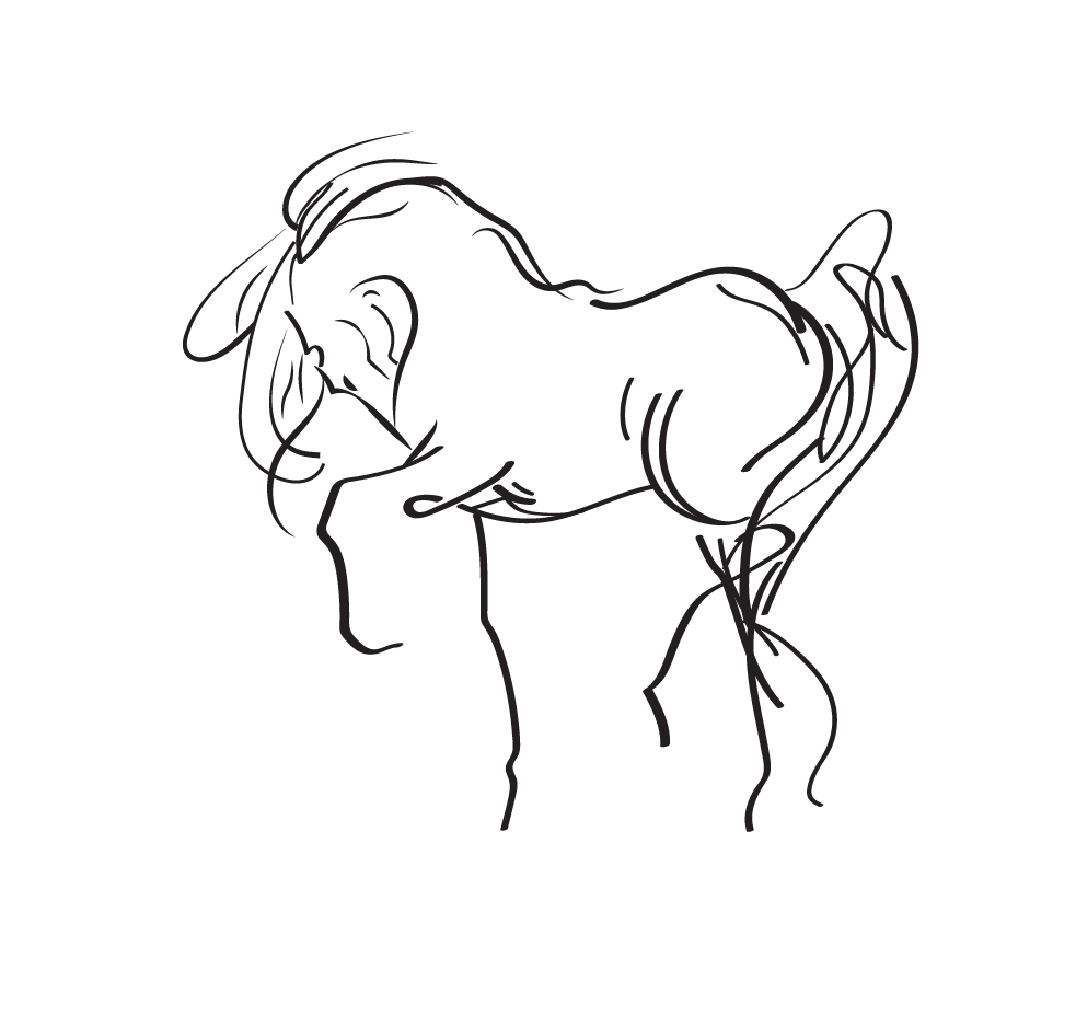 Saffyre Sanctuary logo