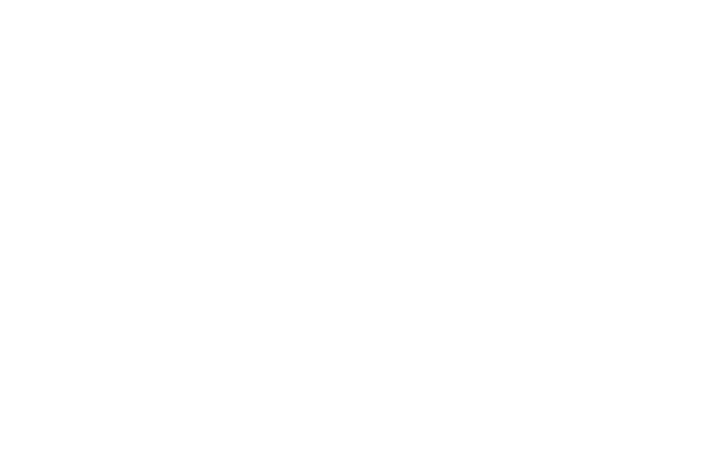 Abraham Path Initiative logo