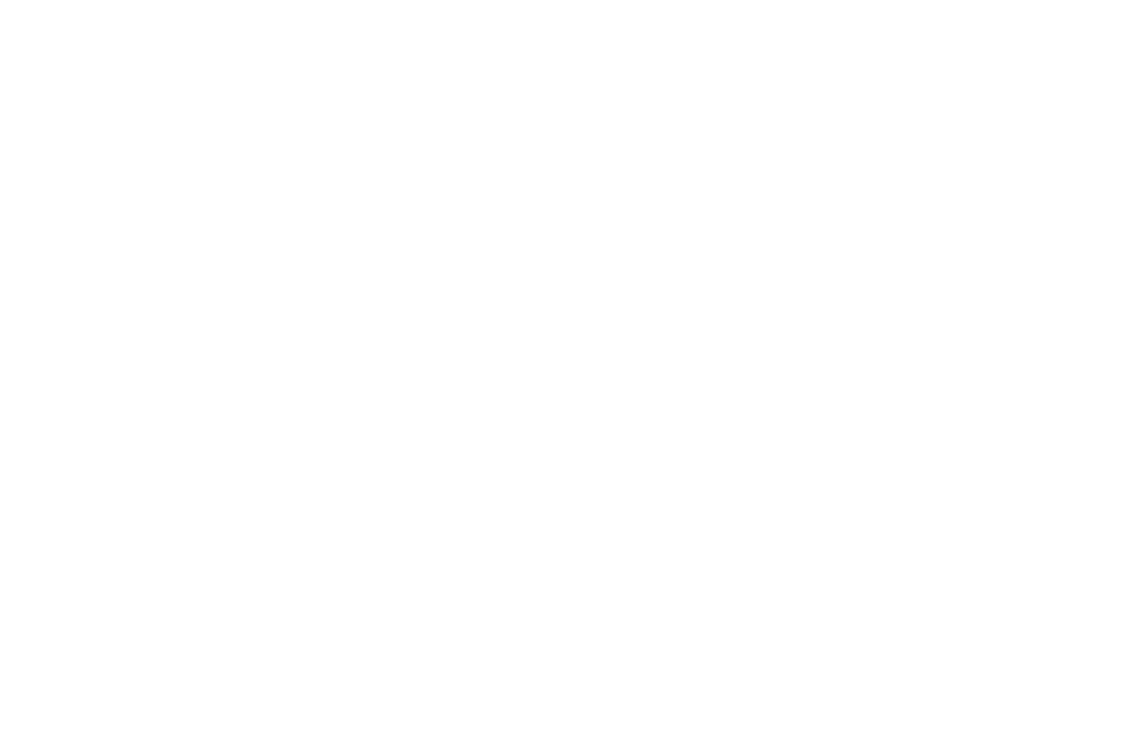 Turning the Page logo