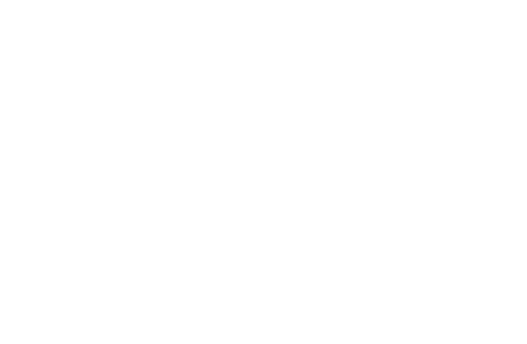 Tyler Robinson Foundation logo