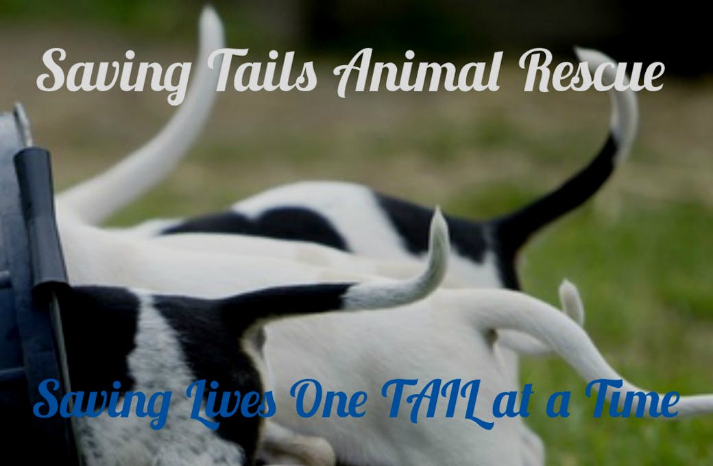 Saving Tails Animal Rescue