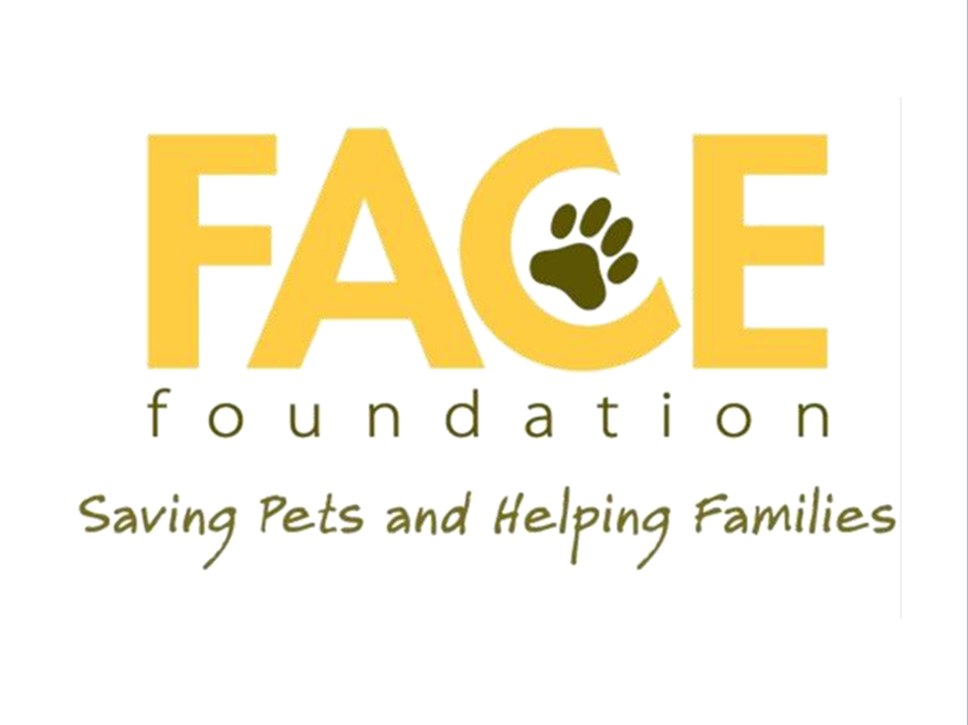 FACE logo