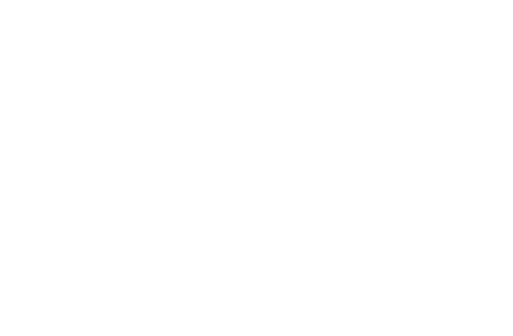 Honor Courage Commitment logo