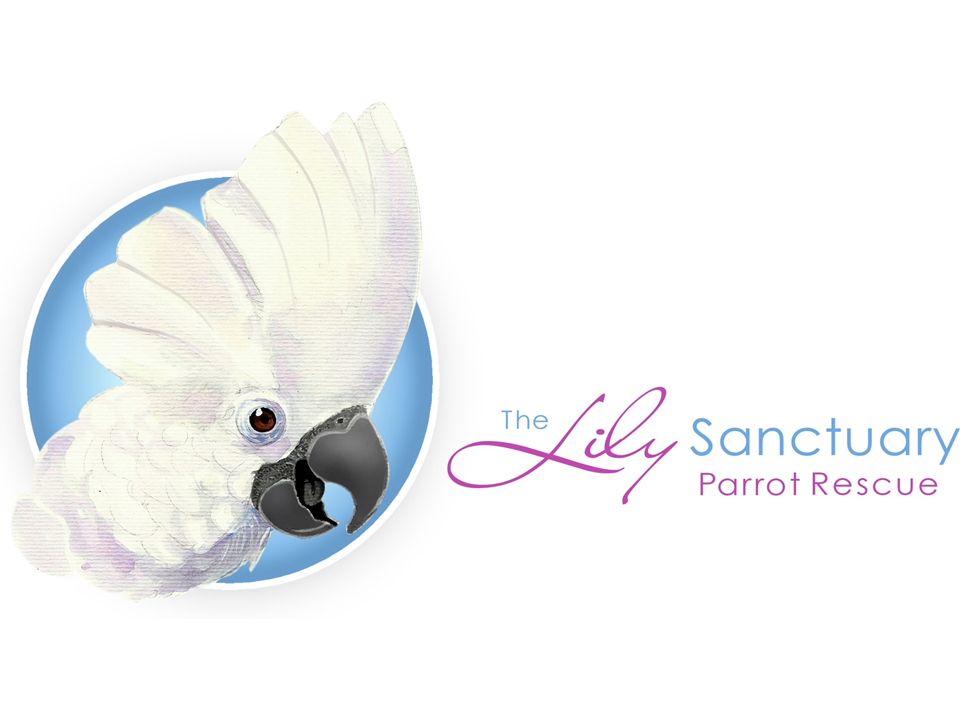 Lily Sanctuary logo