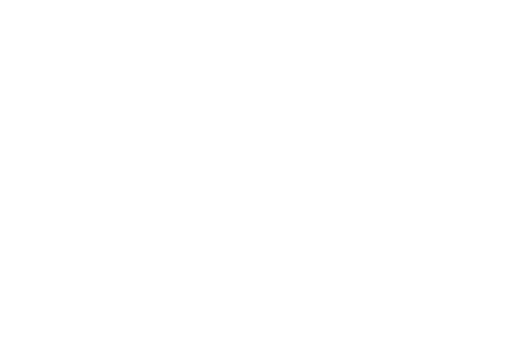 Blue Haven Foundation logo