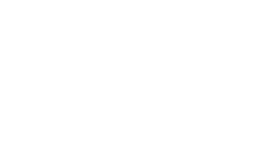 Tony Hawk Foundation logo