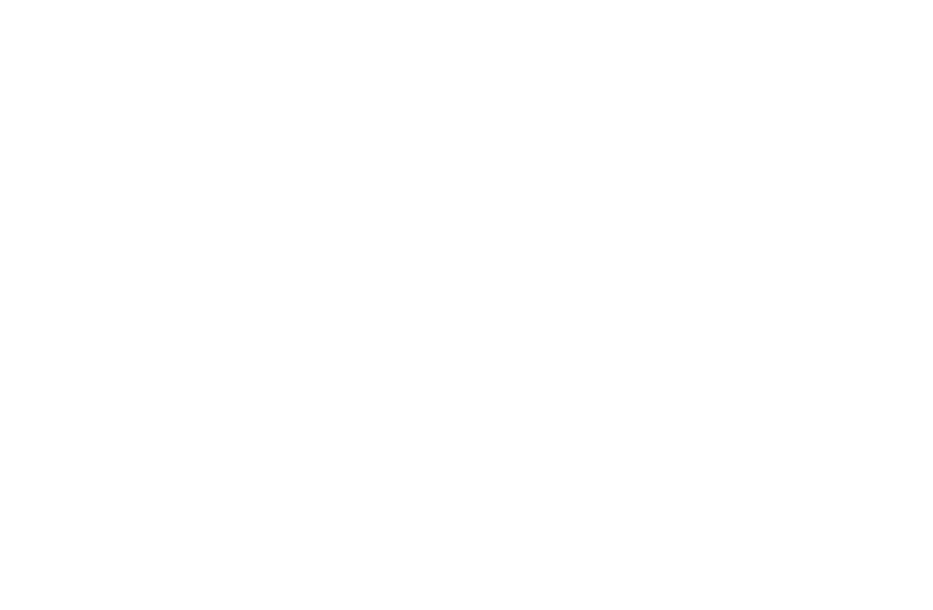 Sustainable Roots logo