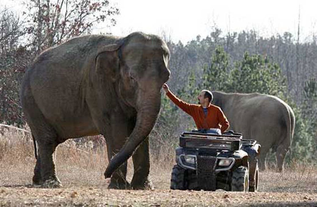 The Elephant Sanctuary in Tennessee