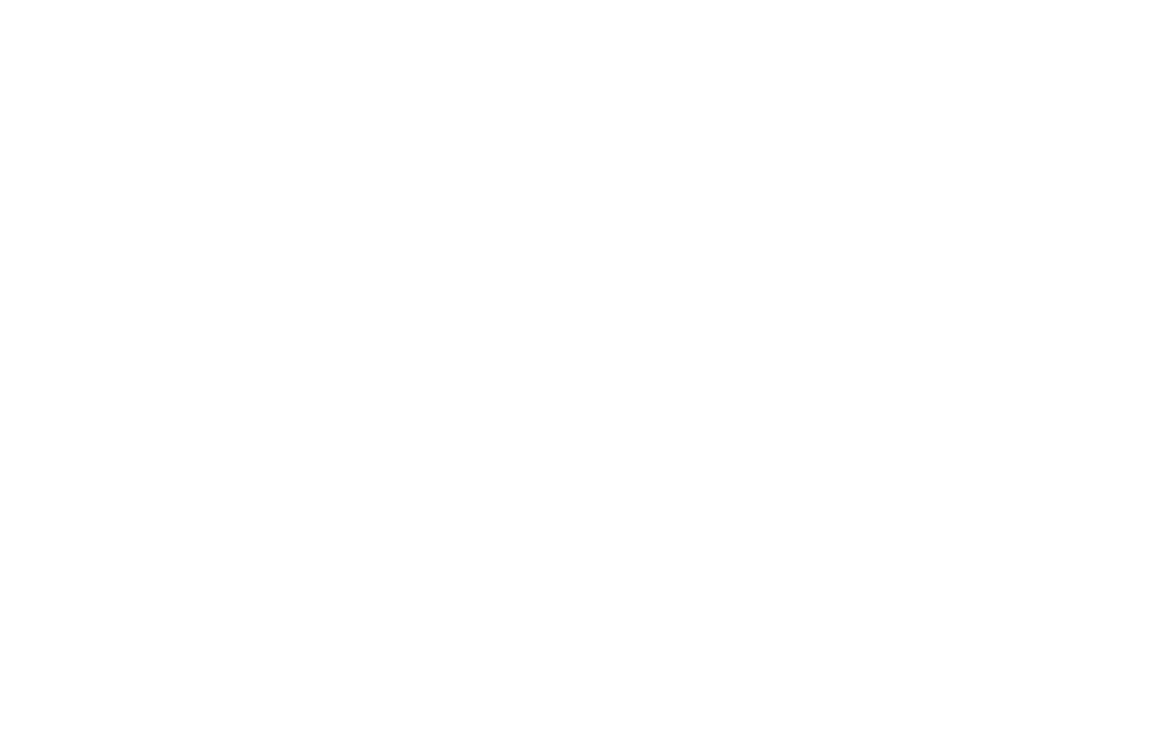 4 2 20 Foundation logo