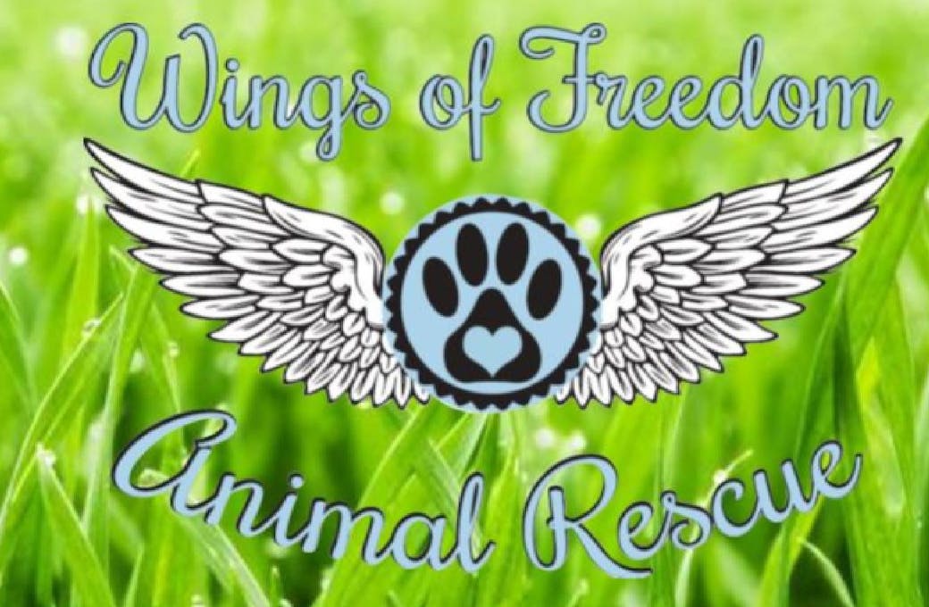 Wings Of Freedom Animal Rescue