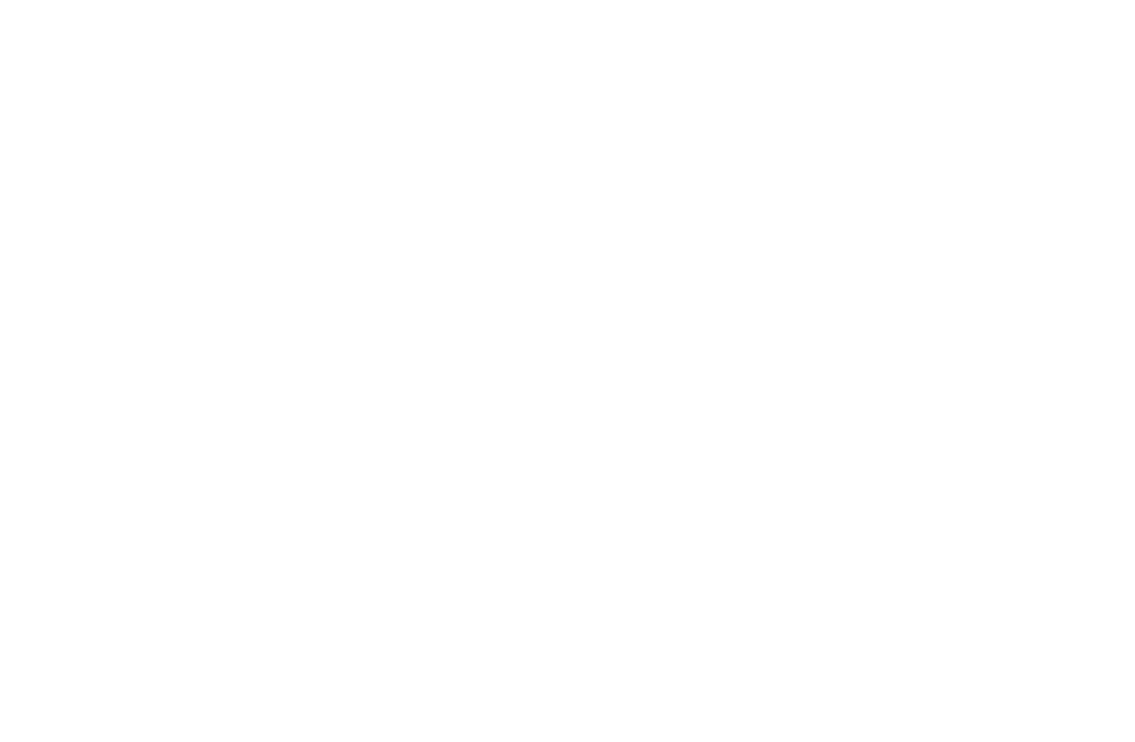 CHIX 4 a Cause, Ltd. logo