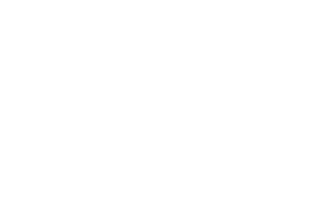 Level Playing Field Institute logo