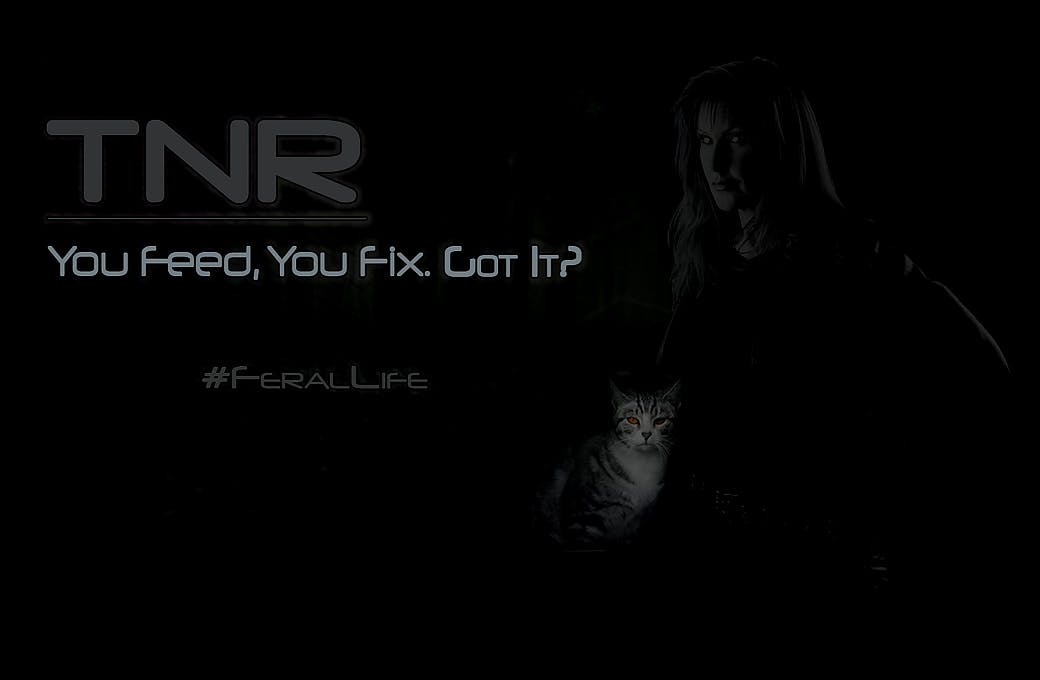TNR Feral Cat Initiative