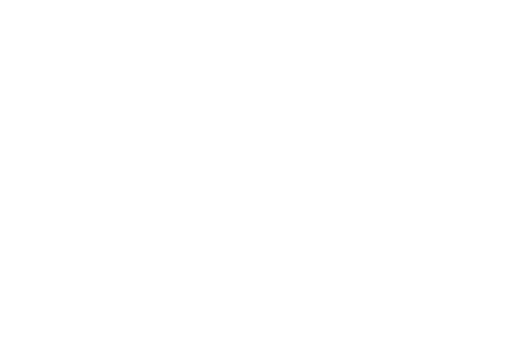 Friends of Scott logo