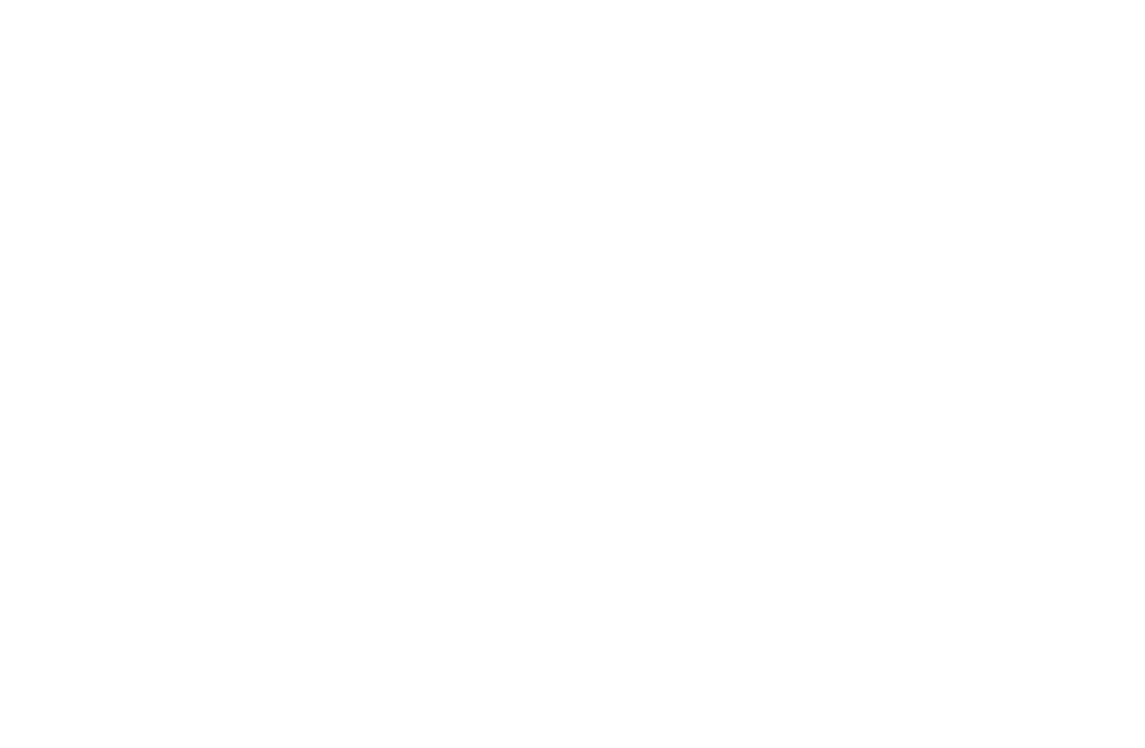 Global BrightLight Foundation logo