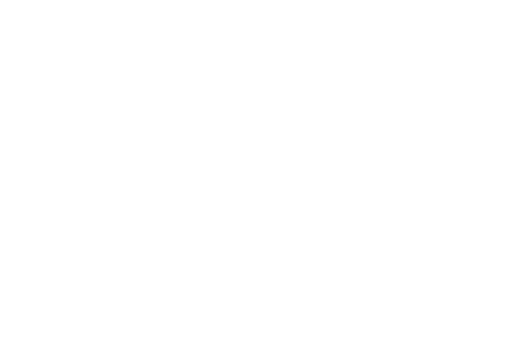 My Choices Foundation logo