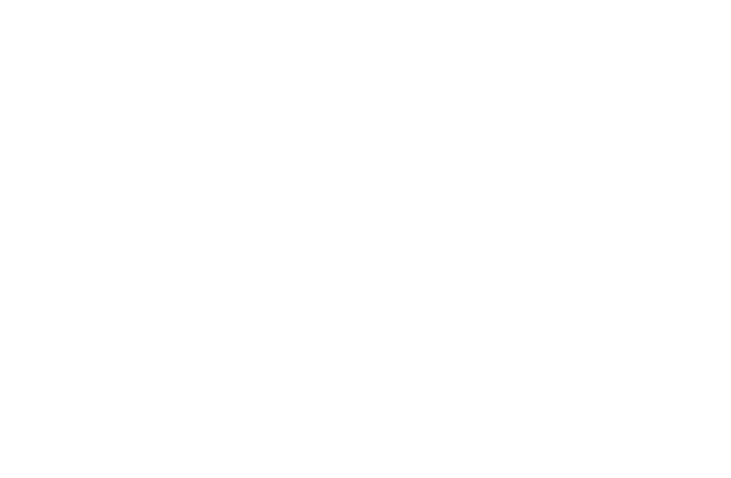 MagicMobility logo