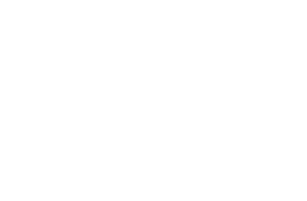Horse Play logo