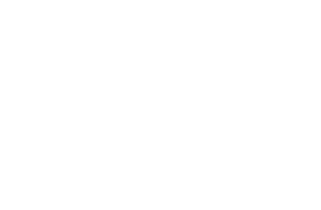 OneSky (Half the Sky Foundation) logo