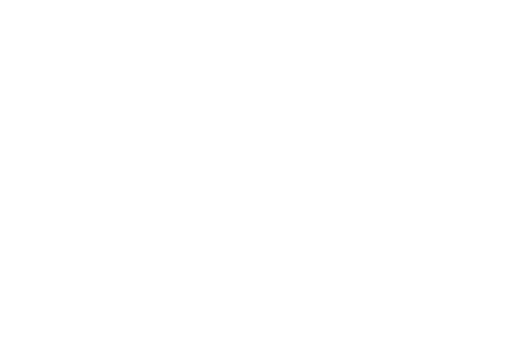 University of Maryland Medical System Foundation logo