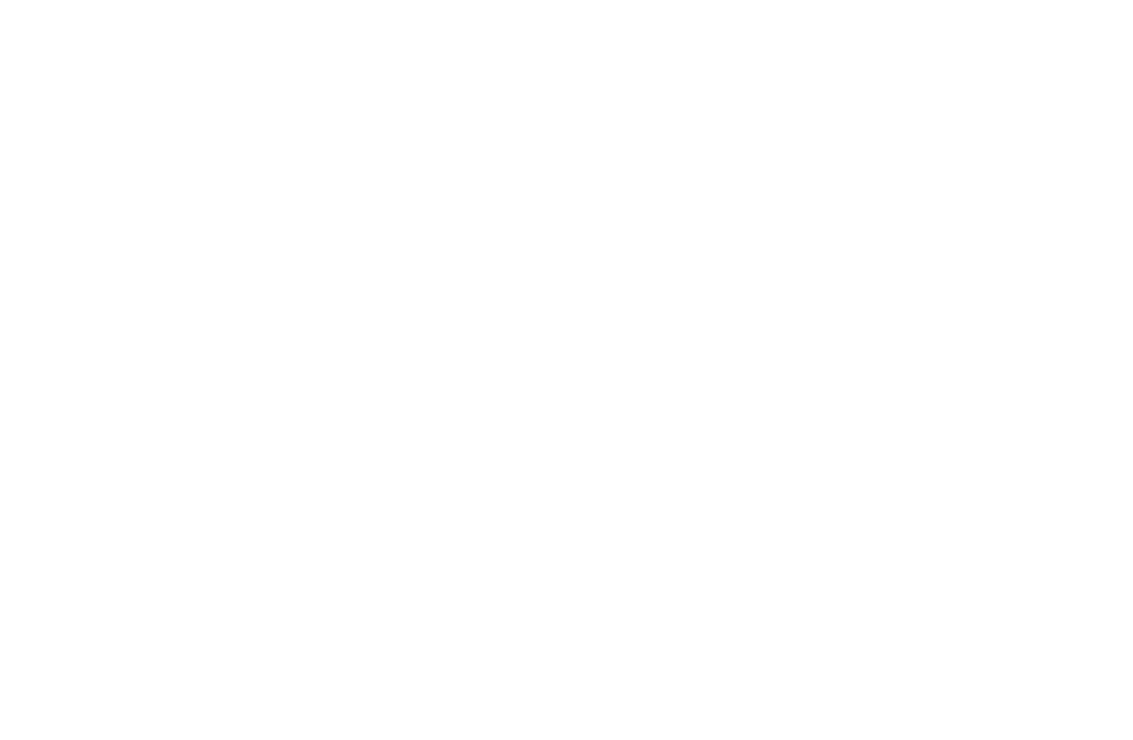 Vivid Life Church logo