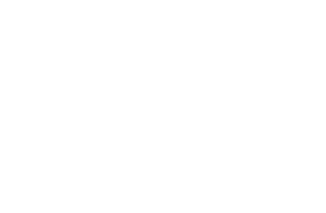 Texas Humane Heroes logo