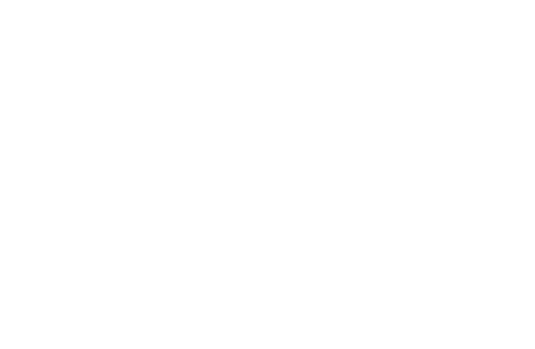 Beyond the Carat Foundation logo