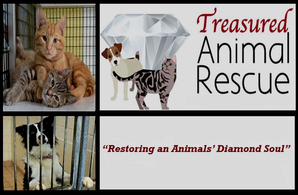 Treasured Animal Rescue, Inc