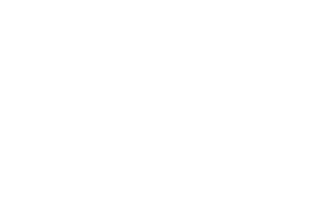 Wateraid America logo