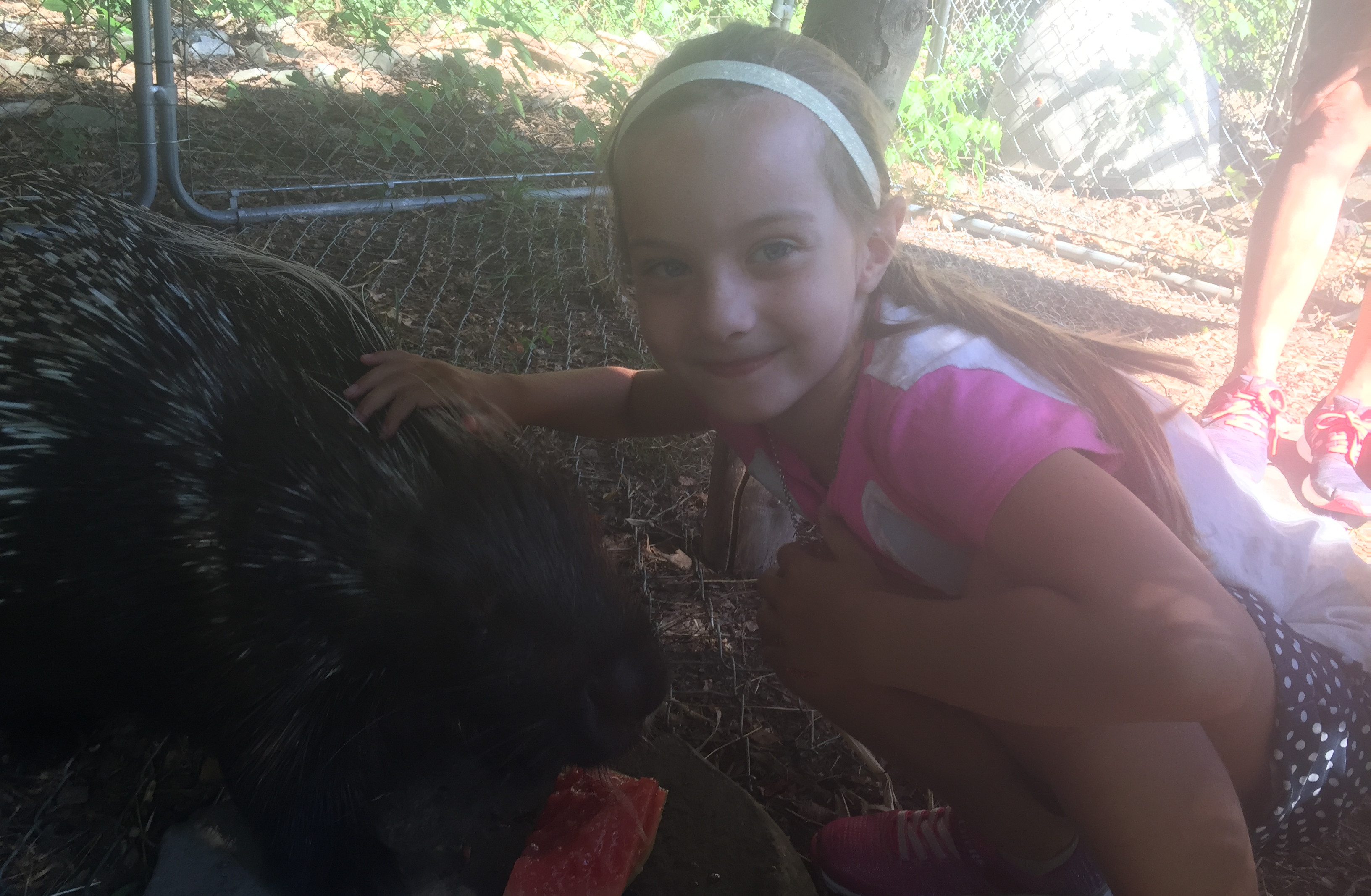 Happy Tales Animal Sanctuary