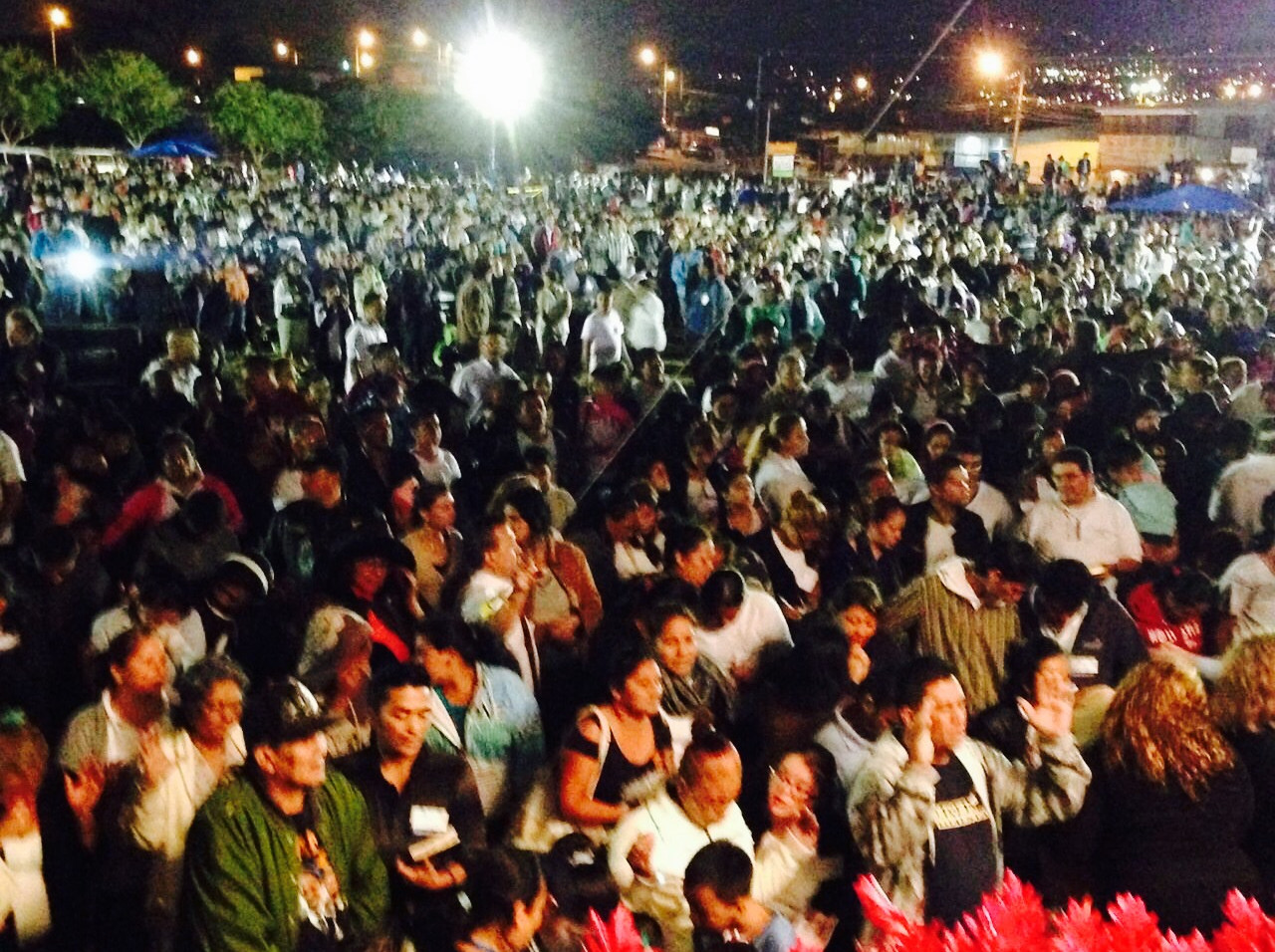 Lost Lamb Association