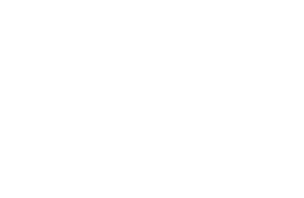 Horizons for Youth logo