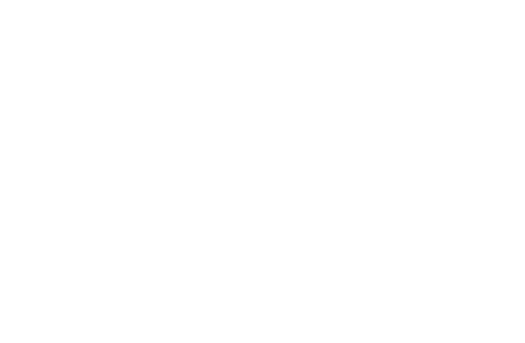 Old Friends Senior Dog Sanctuary logo