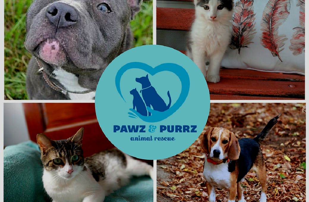 Pawz and Purrz Animal Rescue