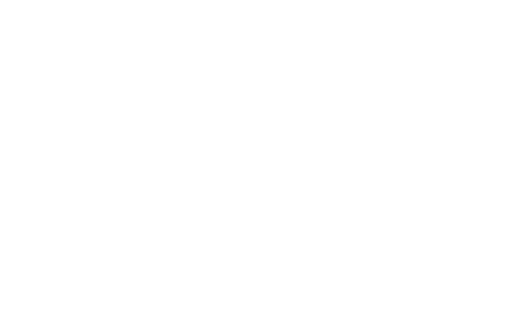 NAIATrust logo