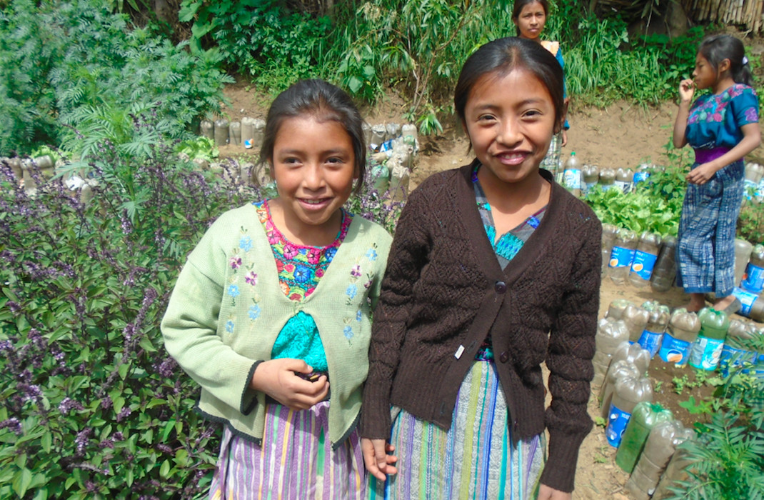 Mayan Fields Foundation