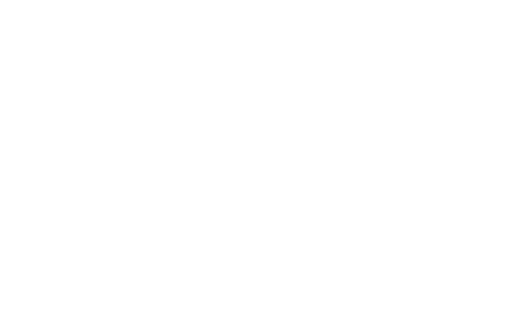 Fire Starter Ministries International logo