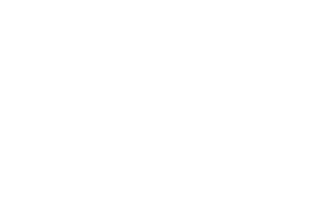 Pet Assistance Network logo