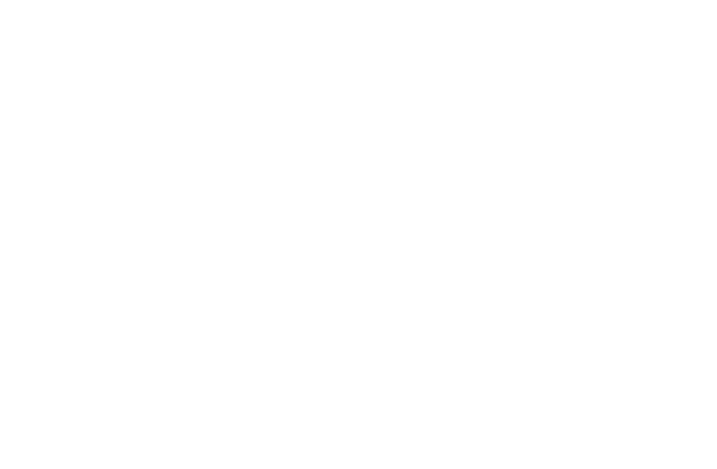 Standing Strong Ministries logo