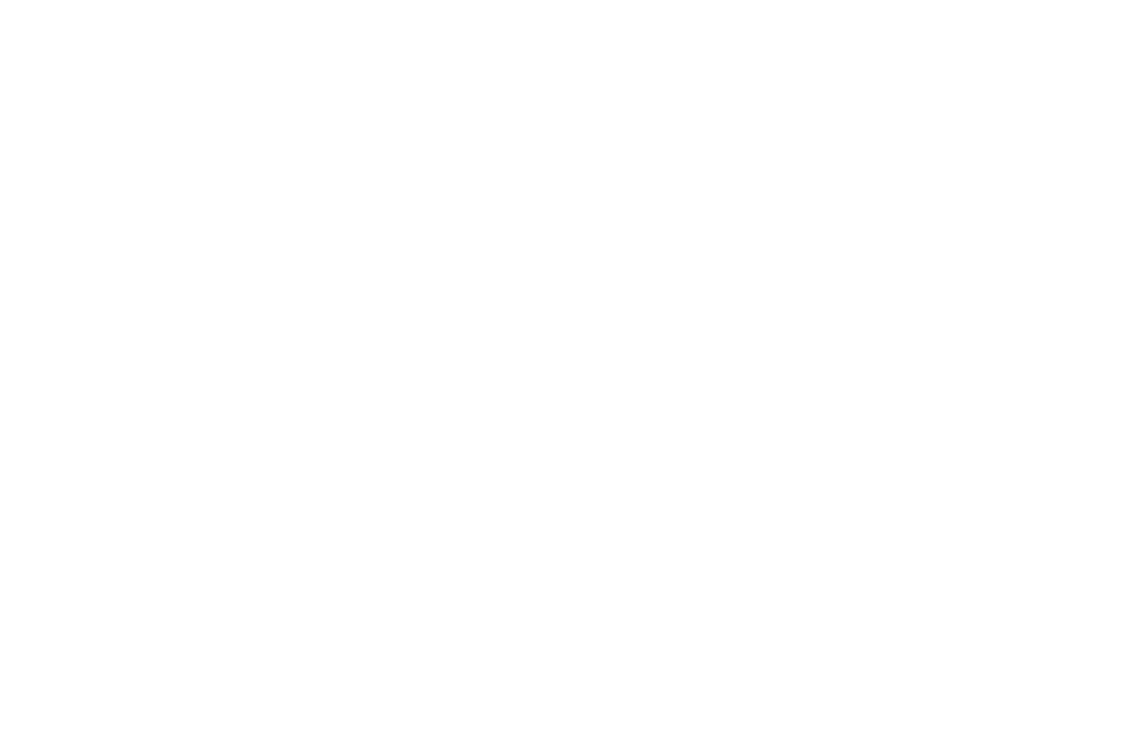 Brooklin Volunteer Fire Company logo