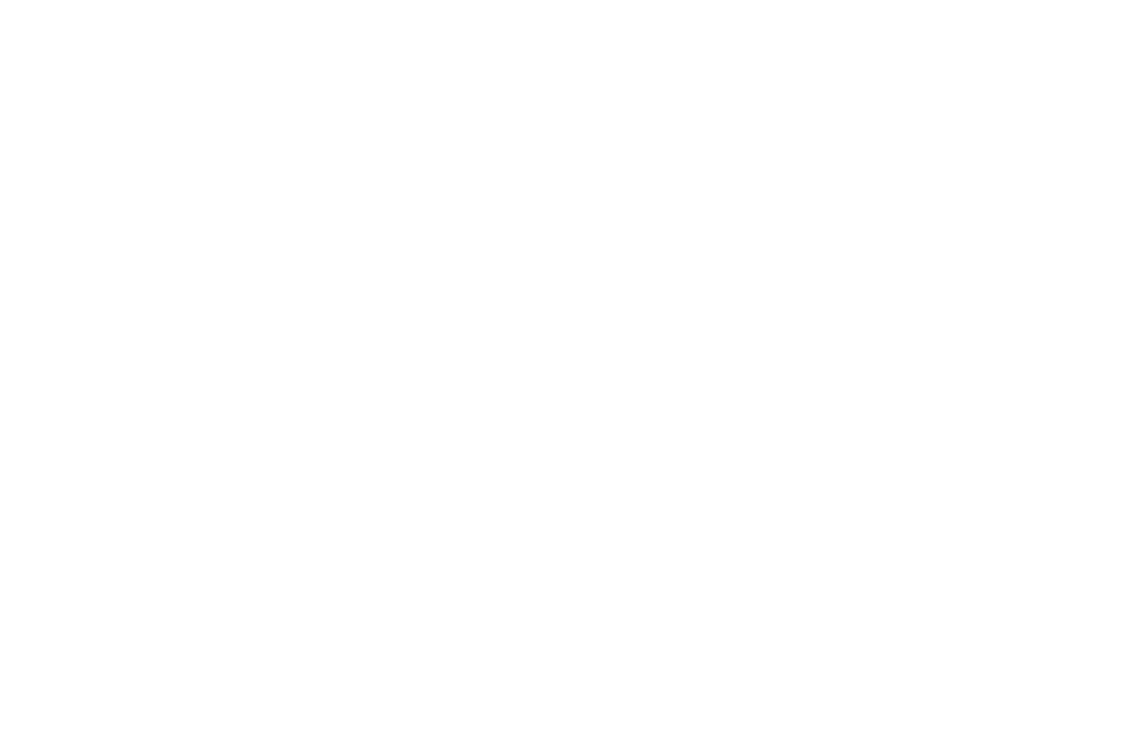 Mission Resolve Foundation logo