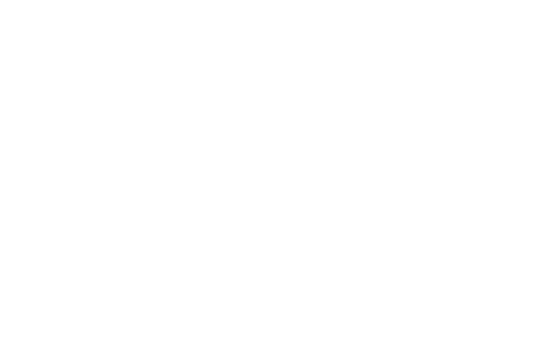 Shine Initiative logo