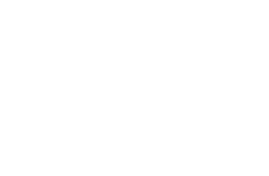 Visions Anew Institute logo
