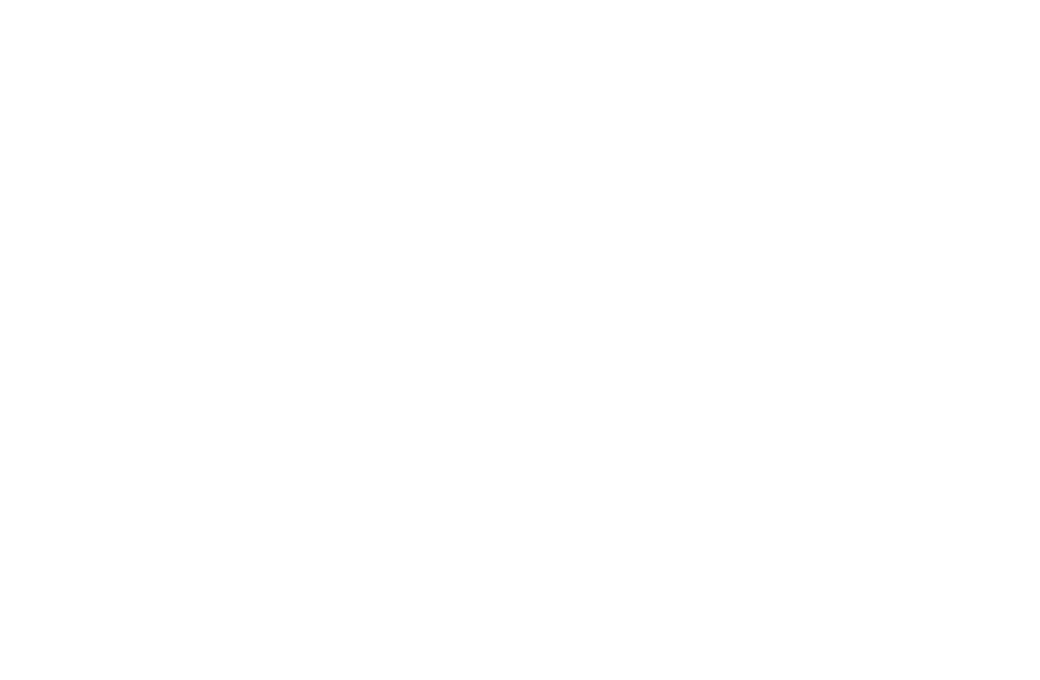 WESPAC Foundation logo