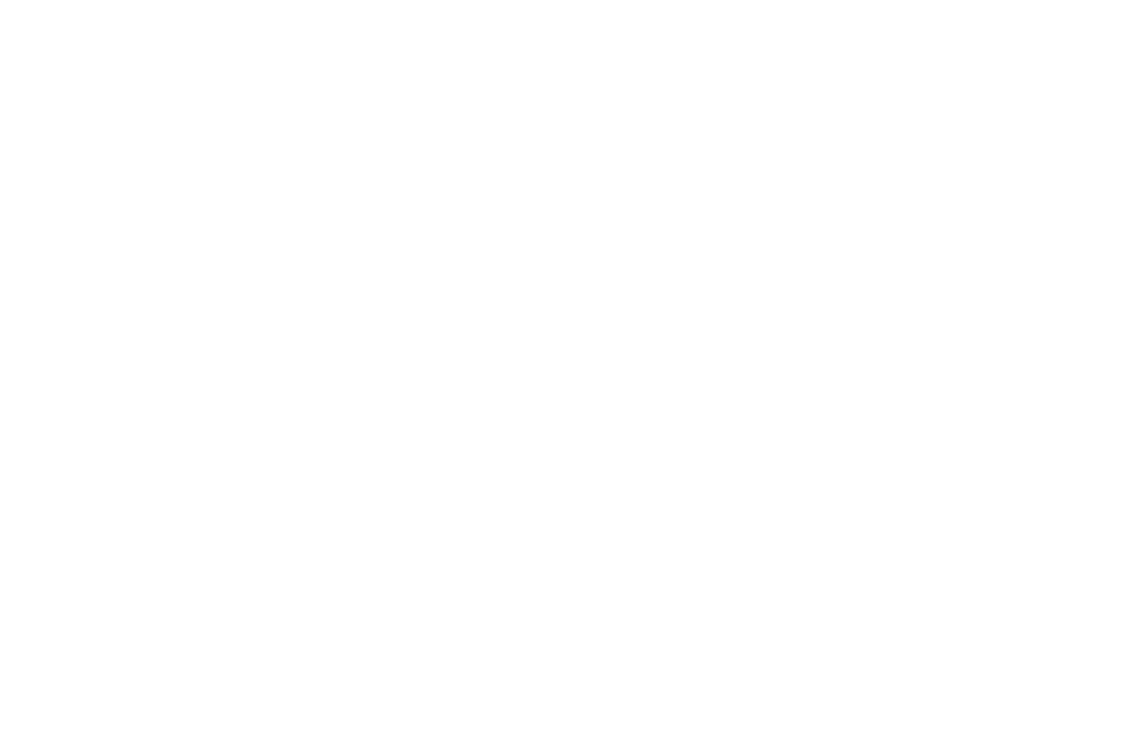 Wisconsin Nicaragua Partners of the Americas logo