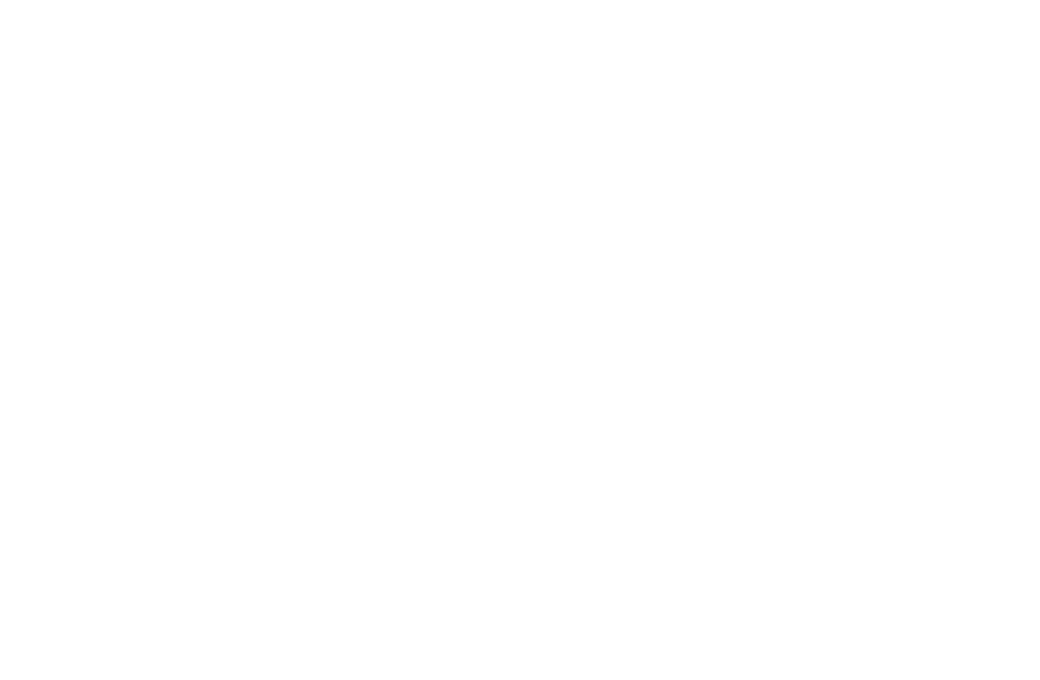 Voices of Change Animal League logo